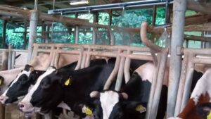 ソーカーシステム